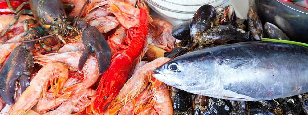 Seafood Processing Equipment