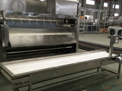 Discharge belt conveyor