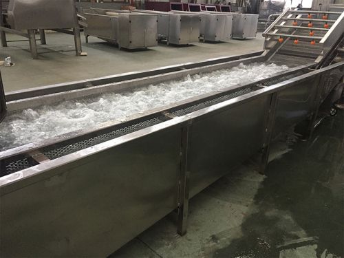 Bubble washer with belt conveyor