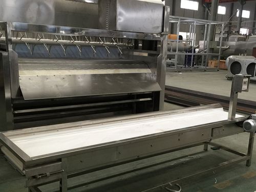 Discharge belt conveyor