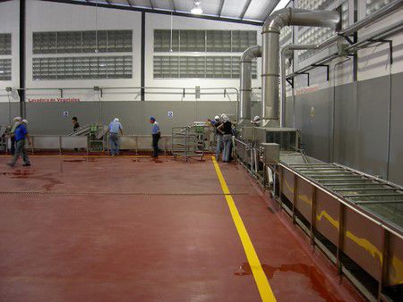 Venezuela Onion, Carrot Dehydrating Processing Line