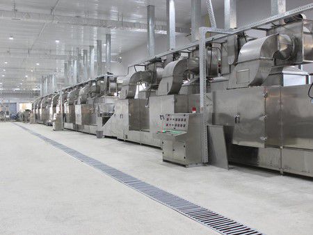 Uzbekistan Green and Red Bell Pepper Dehydrating Processing Line