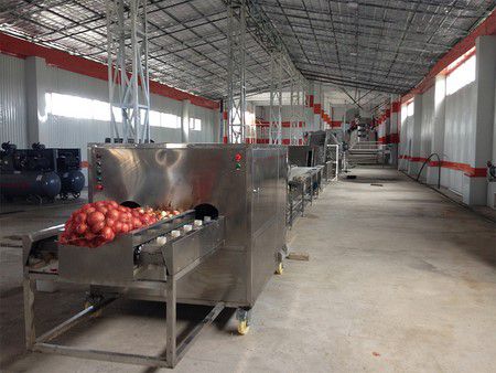 Tajikistan Onion Dehydrating Processing Line