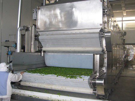 Zhejiang Lettuce Dehydrating Processing Line