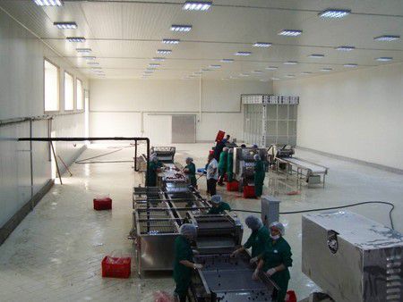 Azerbaijan Strawberries, Blueberries And Other Fruit IQF-Freezing Equipment 