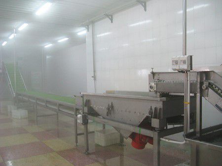 Algeria Soybean Freezing Processing Line