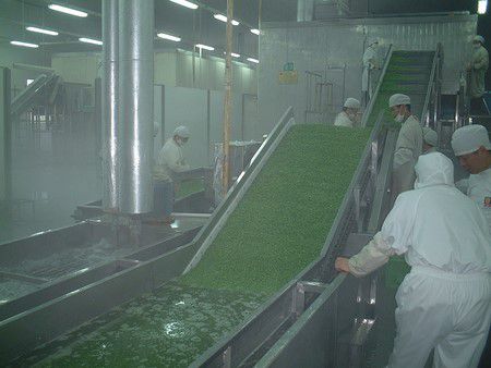 Shanghai Maling Freezing Equipment Processing Line