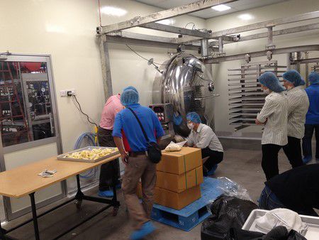 Malaysian Durian Vacuum Freeze Drying Processing Line