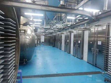 Fujian Dragon Enterprises Vegetable Soup Vacuum Freeze Drying Processing Line