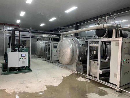 Gansu Angelica Mask Vacuum Freeze Drying Processing Line