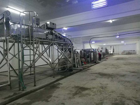 Uzbekistan Raisin Processing Line