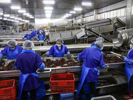 Hubei Crayfish Vacuum Freeze Drying Processing Line