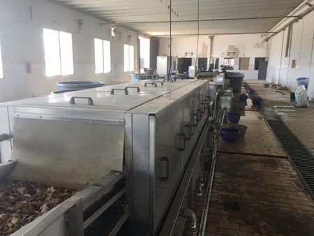 Nigeria Ginger Cleaning Equipment
