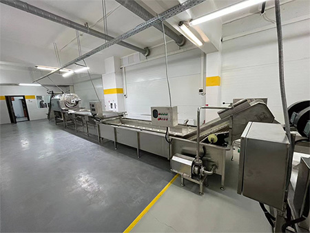 Clean Vegetable Processing Line in Kazakhstan