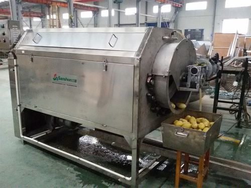 Continuous potato peeler washer