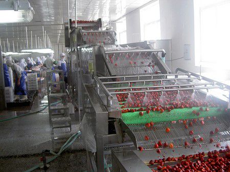 Fruit Processing Equipment