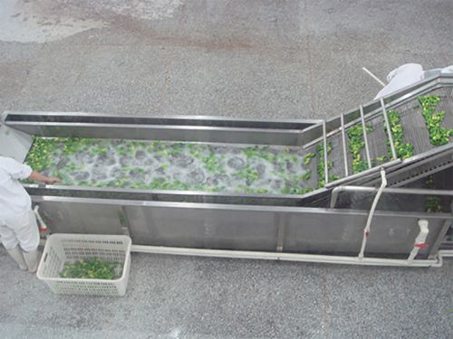 Vegetable water cooling machine