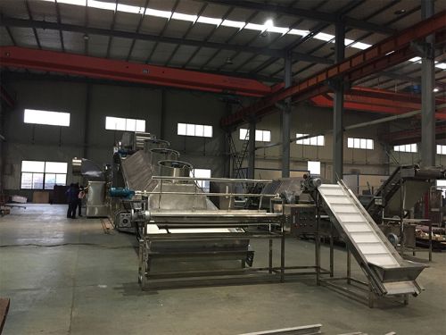 Elevator conveyor & rotary material spreader