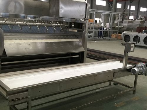 Discharge belt conveyor