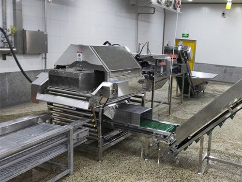 Scratching and peeling machine