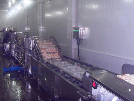Pickle Processing Equipment