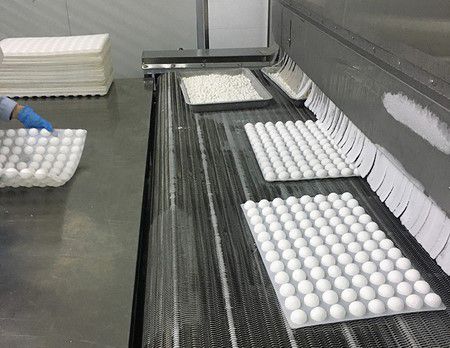 Pizza & Pasta Processing Equipment
