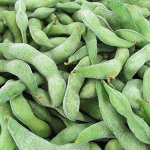 Soybean Freezing Processing Line