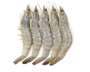 Seafood