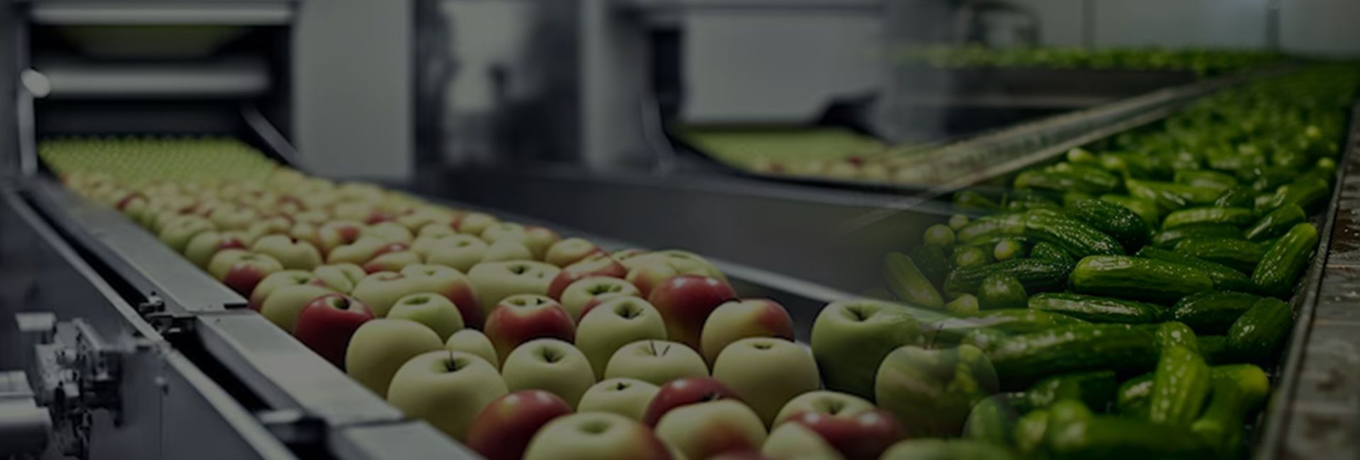 Shaoxing Walley Food Machinery Co., Ltd.