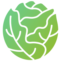 Cabbages
