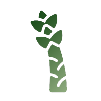 Asparagus Lettuce