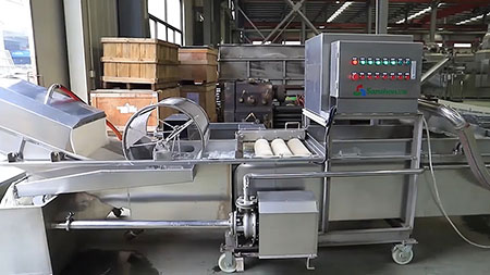 QXJ-M Multi-Functional Fruit and Vegetable Bubble Washer