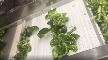 TJP Sweet Pepper Breaking Machine