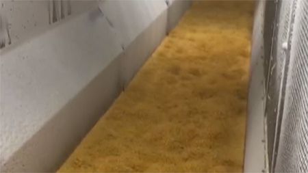 IQF Fluidized Bed Freezer For Sweet Corn Freezing