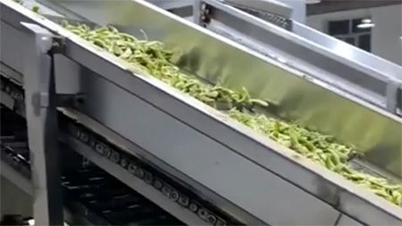 Soybean Freezing Processing Line