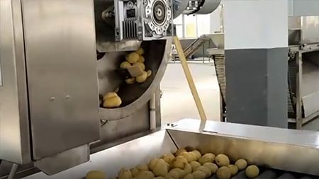Clean Vegetable Processing Line