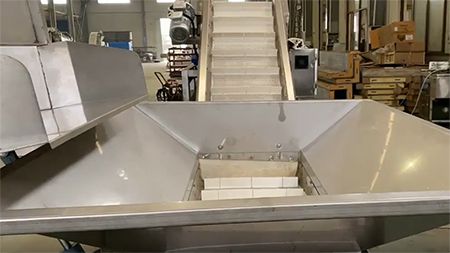 Prune Washing and Disinfecting Line