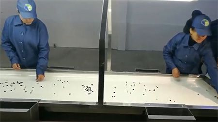 TXJ Sorting Conveyor