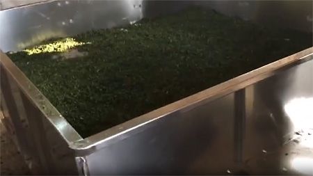 HGX Series Box-type Vegetable Dryer