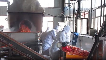 Carrot Dehydrating Processing Line