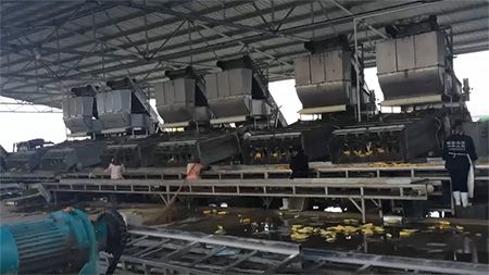 Sweet Corn Freezing Processing Line