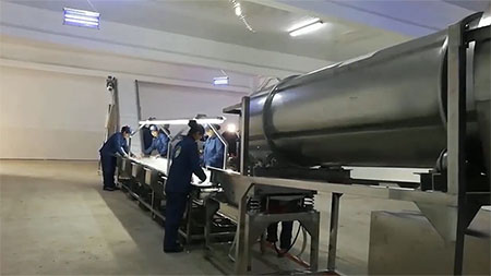 Raisin Washing and Dehydrating Production Line