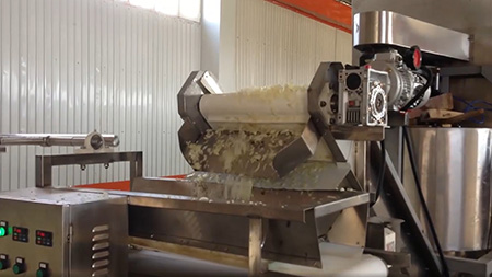 Onion dehydrating processing line