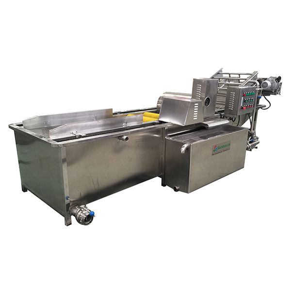 QXJ-LM Fruit and Vegetable Bubble Washer with Belt Conveyor