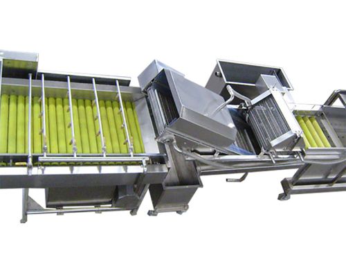 MXJ-13 Fruit and Vegetable Brush Roller Washer