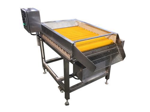 MXJ-13 Fruit and Vegetable Brush Roller Washer
