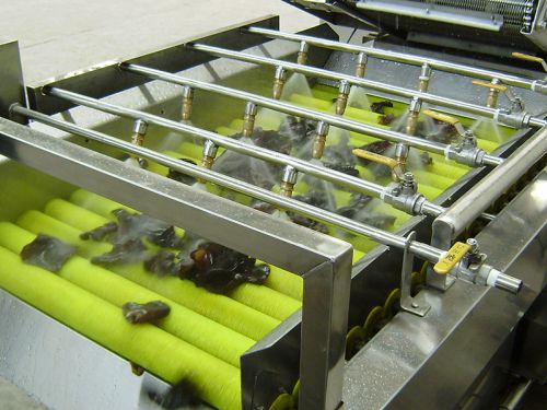 MXJ-13 Fruit and Vegetable Brush Roller Washer