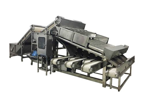Shrimp Grader / Prawn Grader
