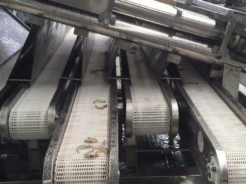 XSJ-12 Shrimp Grader / Prawn Grader