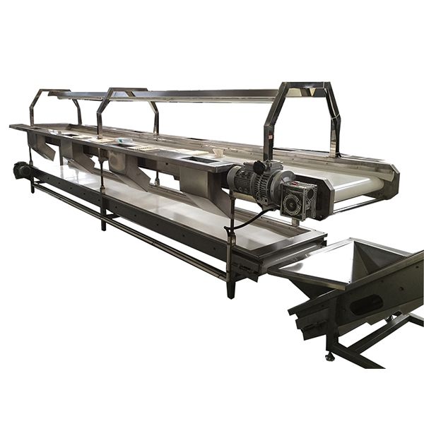 TXJ Sorting Conveyor